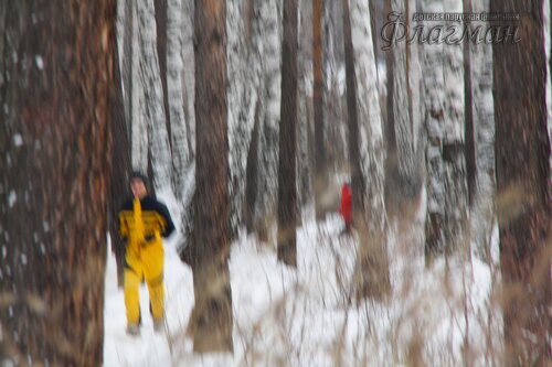 Прогулка с элементами ОФП